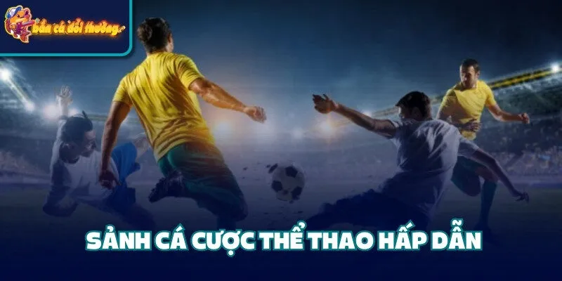 Cổng Game Vip79 - Địa Điểm Cá Cược Chất Lượng Hàng Đầu 3 Sảnh cá cược thể thao hấp dẫn